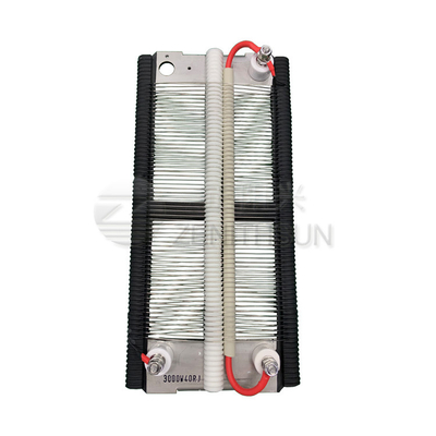 검은 채색과 3000W 플래이트형 고전력 코일저항